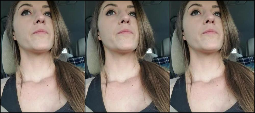 Terramizu Stream Started At Pm Gia S Driving About To Cross Into Tx