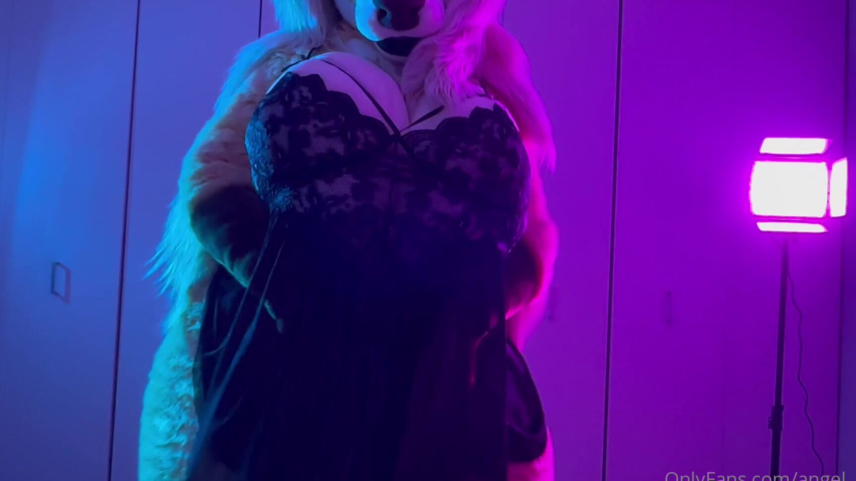 Angel Pups 1395273322 We Have Been Getting A Few Questions Requests Asking For Old 09 0Hk2Dy7Zr1S2Zczsoqszp Source