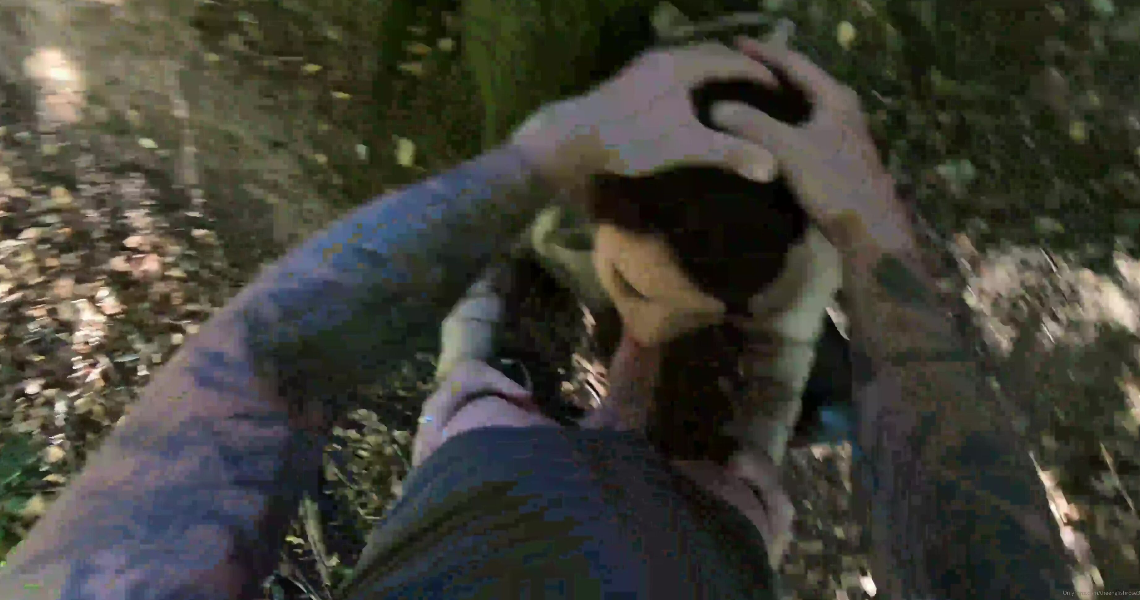 theenglishrose3-27-10-2020-579024784-dark-nights-means-plenty-of-walks-in-the-woods-x