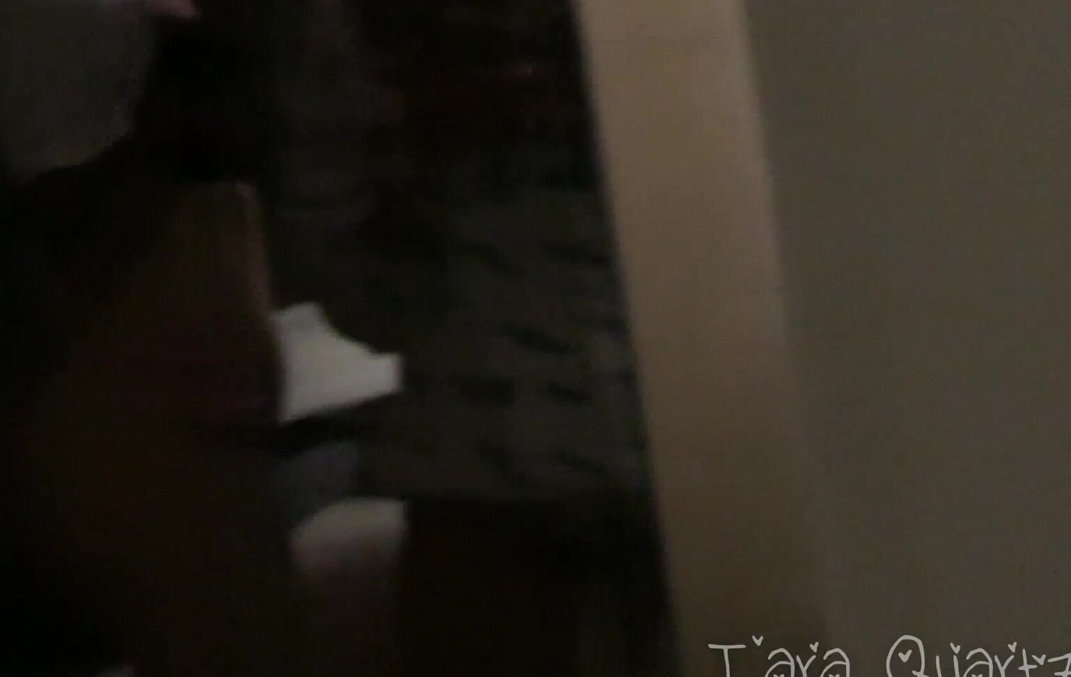 Tara Quartz Exxxotica Portland Vlog