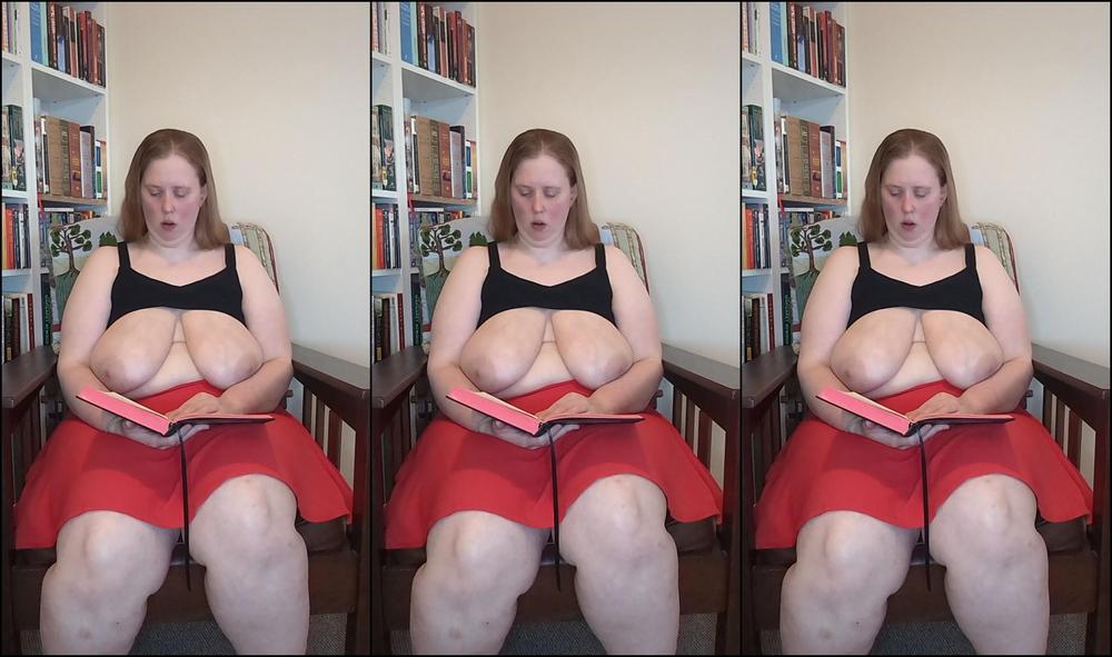 Bibliophile120 3414427265 07 25 2024 Chapter 2 Of Dracula By Bram Stoker