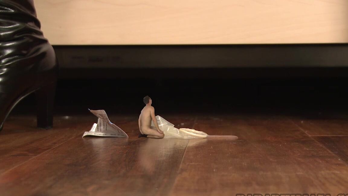 Paraphilia51 - Extreme Degradation Clips4Sale