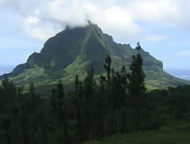 "Katja Kean, Eva Roberts, Kiki Doll, Theodora, Bolivia Samsonite (as Anastasia), Carla Dori, Claudia, Bagheera, Gabriella Blicq, Mira, Isabella (as Monica), Sophie Call, Vanda Vitus, Alain Deloin, David Perry, Jean-Yves Le Castel" Euro, International