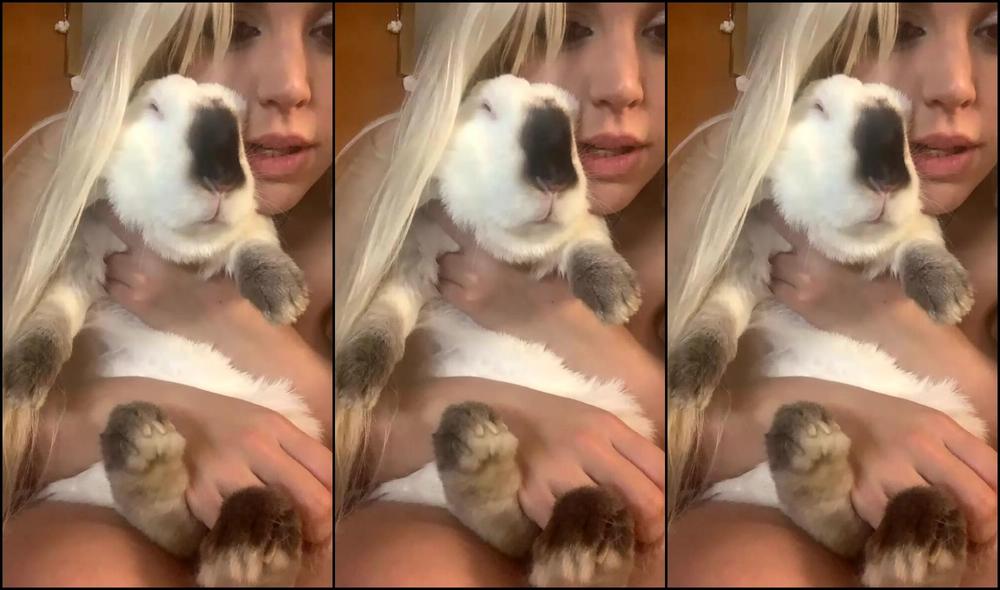 Blondie Oficial Stream Started At Am