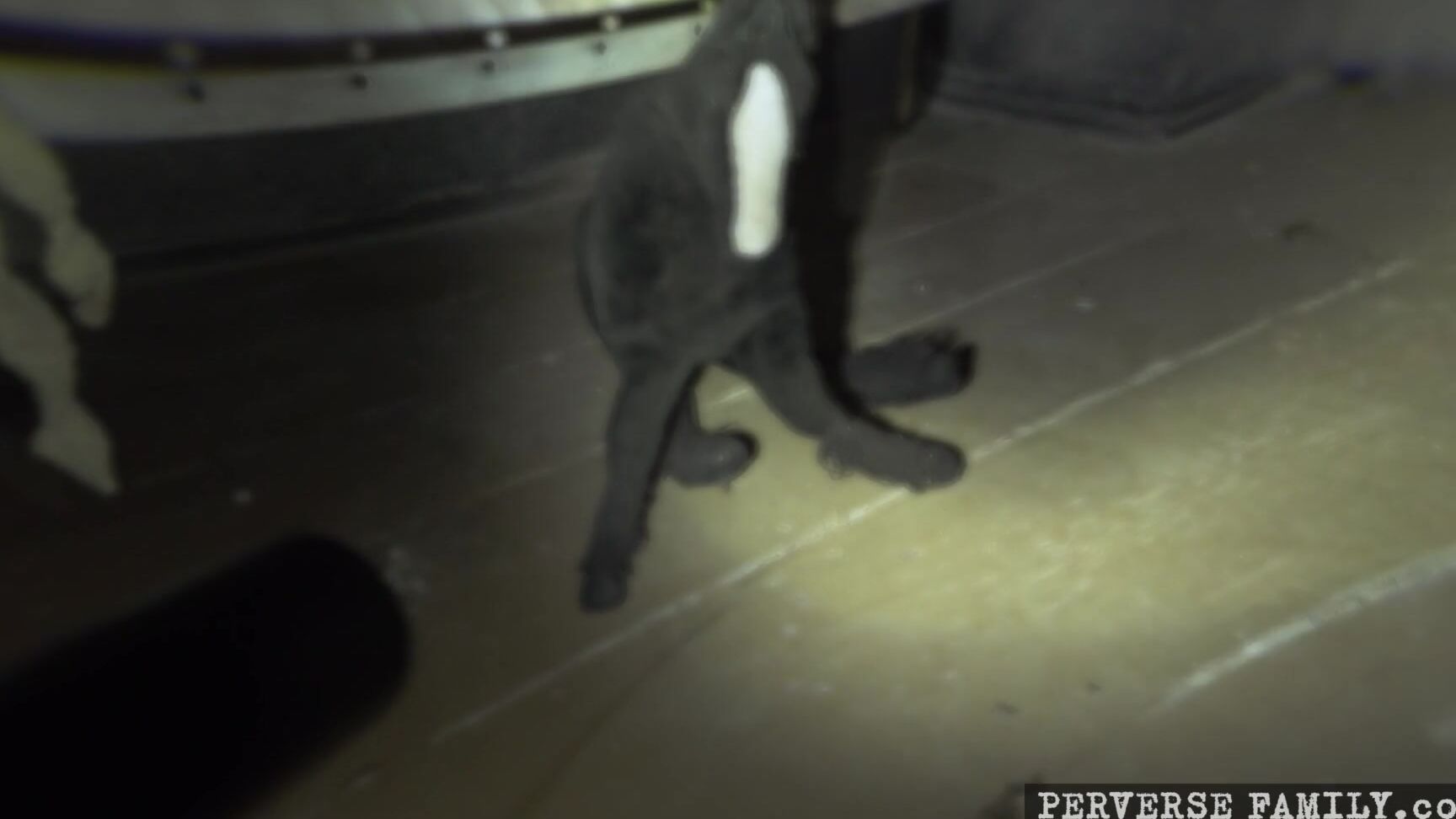 Perversefamily 33 Perverse Vision