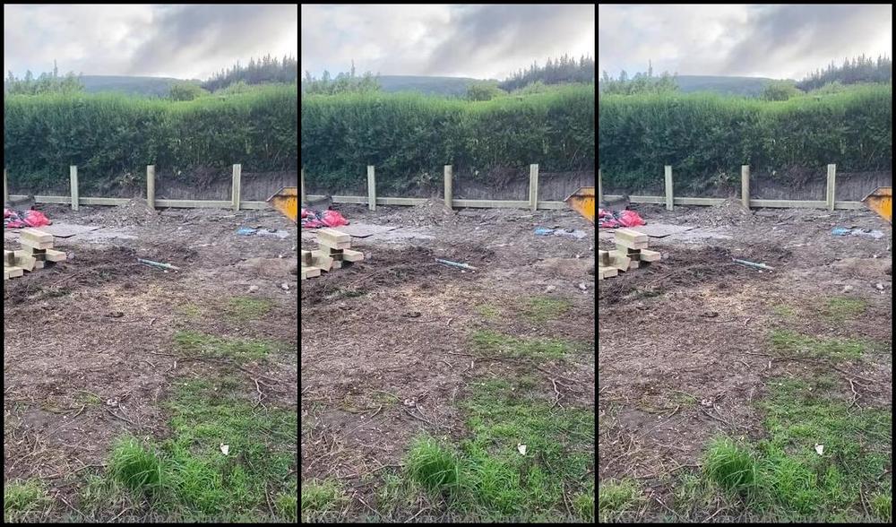 Ladydarkangeluk Onlyfans Garden Update A Mess Lol