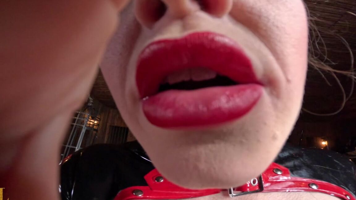 Vivienne Lamour Viviennes Box Of Horrors