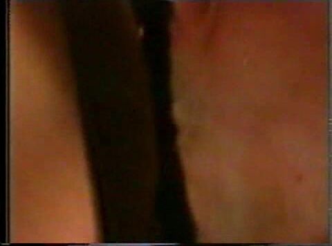 "Felecia, Jessica James, Kirsty Waay, Krista Maze, Patricia Kennedy, Sunset Thomas, Sweety Pie, Blake Palmer, Jon Dough, Peter North, Tony Tedeschi, TT Boy, Zack Thomas" Feature Babenet VCA