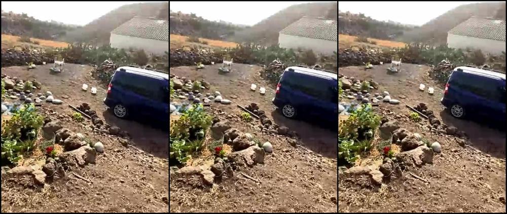 Emilyamateur Stream Started At Am Naked Gardening For Me And The Casual Nudity Lovers