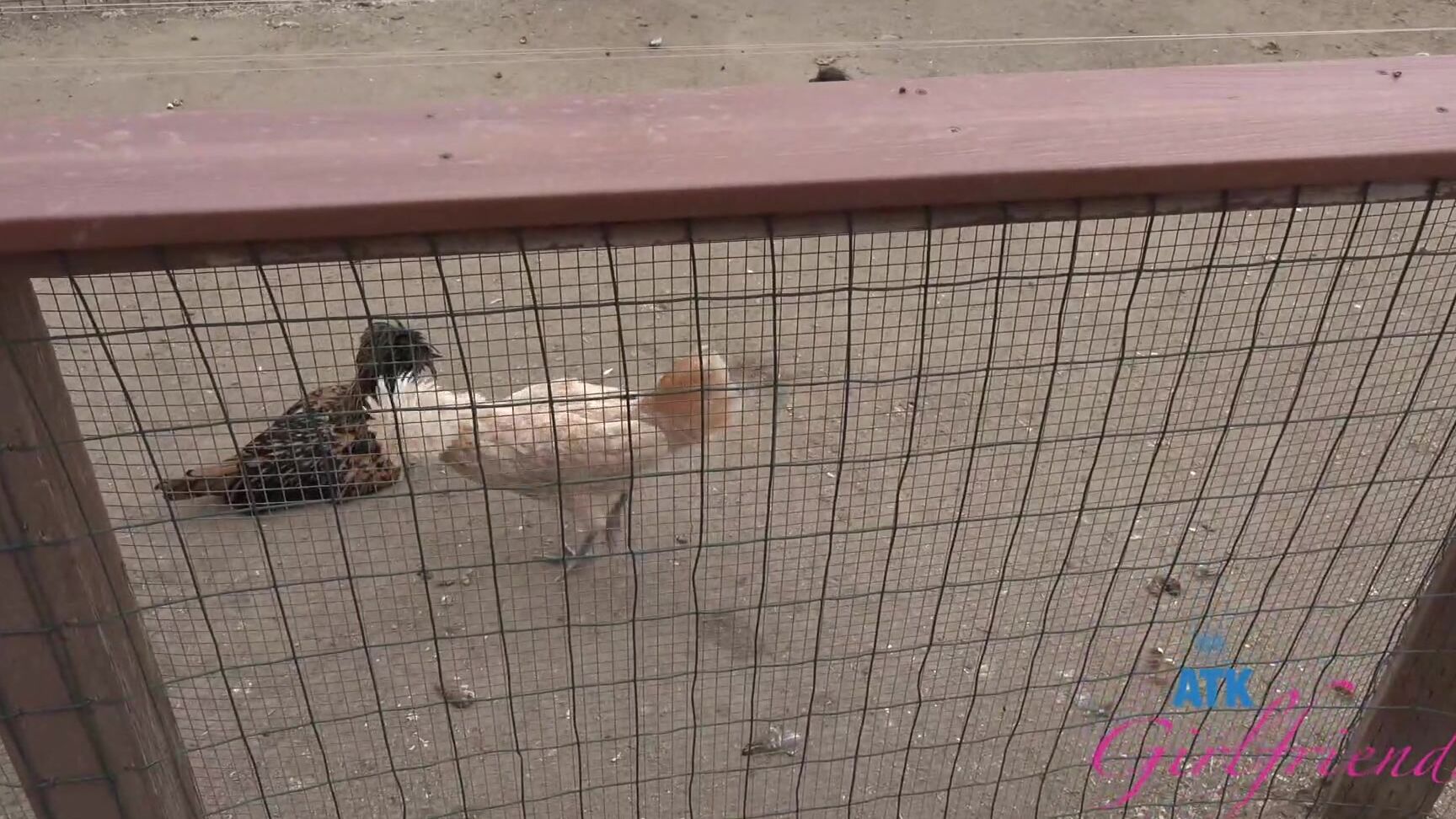 Indoors, Blowjob, Car, POV, Hairy, Oral, Outdoors, Piss, All Sex Sia Wood. Farm Date 1 SiteRip