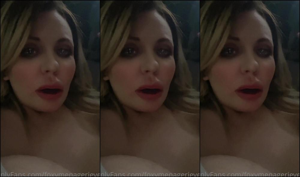 Foxymenagerieverre Here S The Travel Story Update I Promised Yesterday