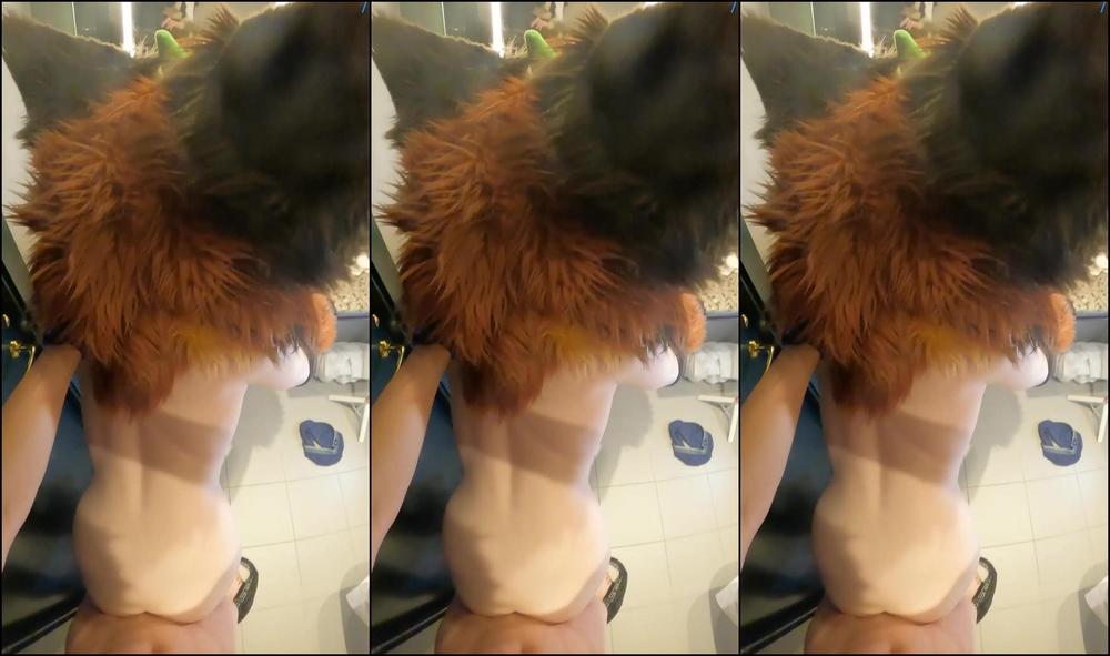 Palacewolf 0I0Ihfkp304Nbwf8Xlani 1920