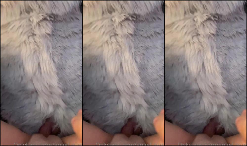 Angel Pups 402763649 My Favorite Pov 01 5Defb592 3Da1 4926 A02E 3841C20D33Ee