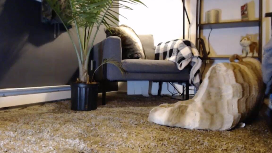 Lvl Waifu My First Stream Please Tip If You Enjoyed It It Will Encourage Me To Keep At It I Will