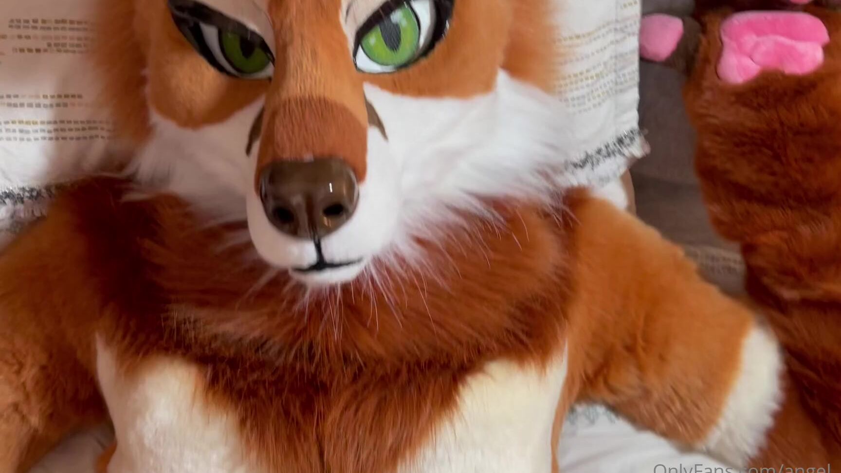 Angel Pups 273541603 Storms Valentine S Day Wish Was To Play With His Vixen S 01 42Be1245 3861 4Fde Be97 86D4Db04Ec1C