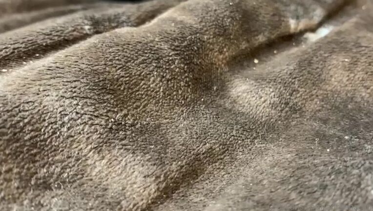 Adreena Angela New Boots