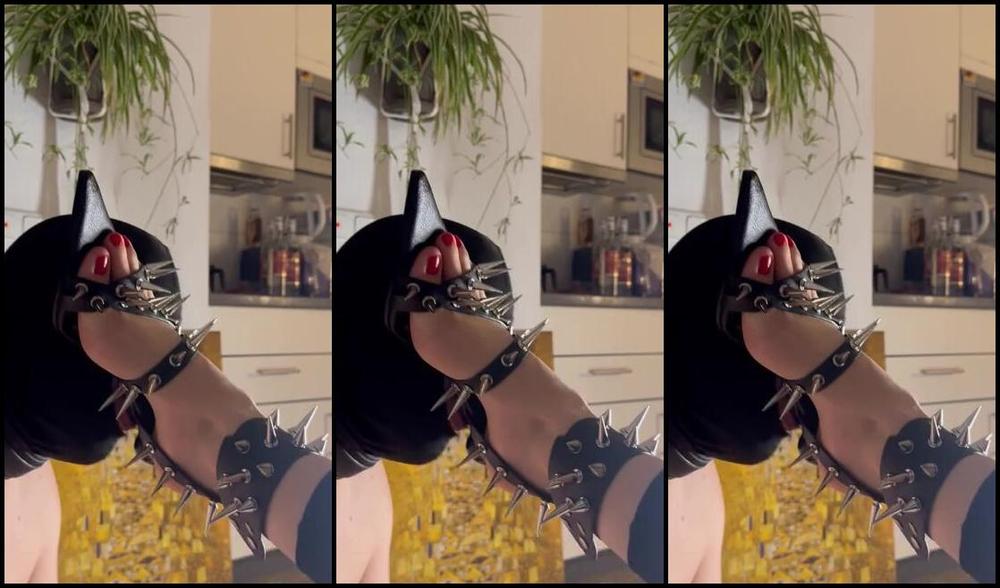 Goddessluna26 01 05 2025 Onlyfans Video Die Spikes Haben Meiner Bitch Zwar Angst Gemacht Aber Sie War So Geil Auf Den Penisabsatz