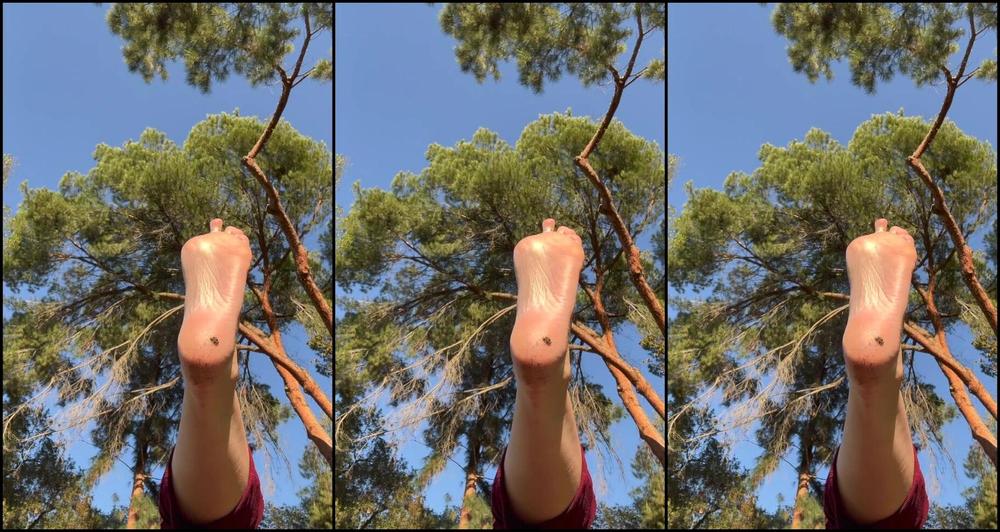 Faewilde 2760414629 01 31 2023 More Of My Stinky Feet Sunning