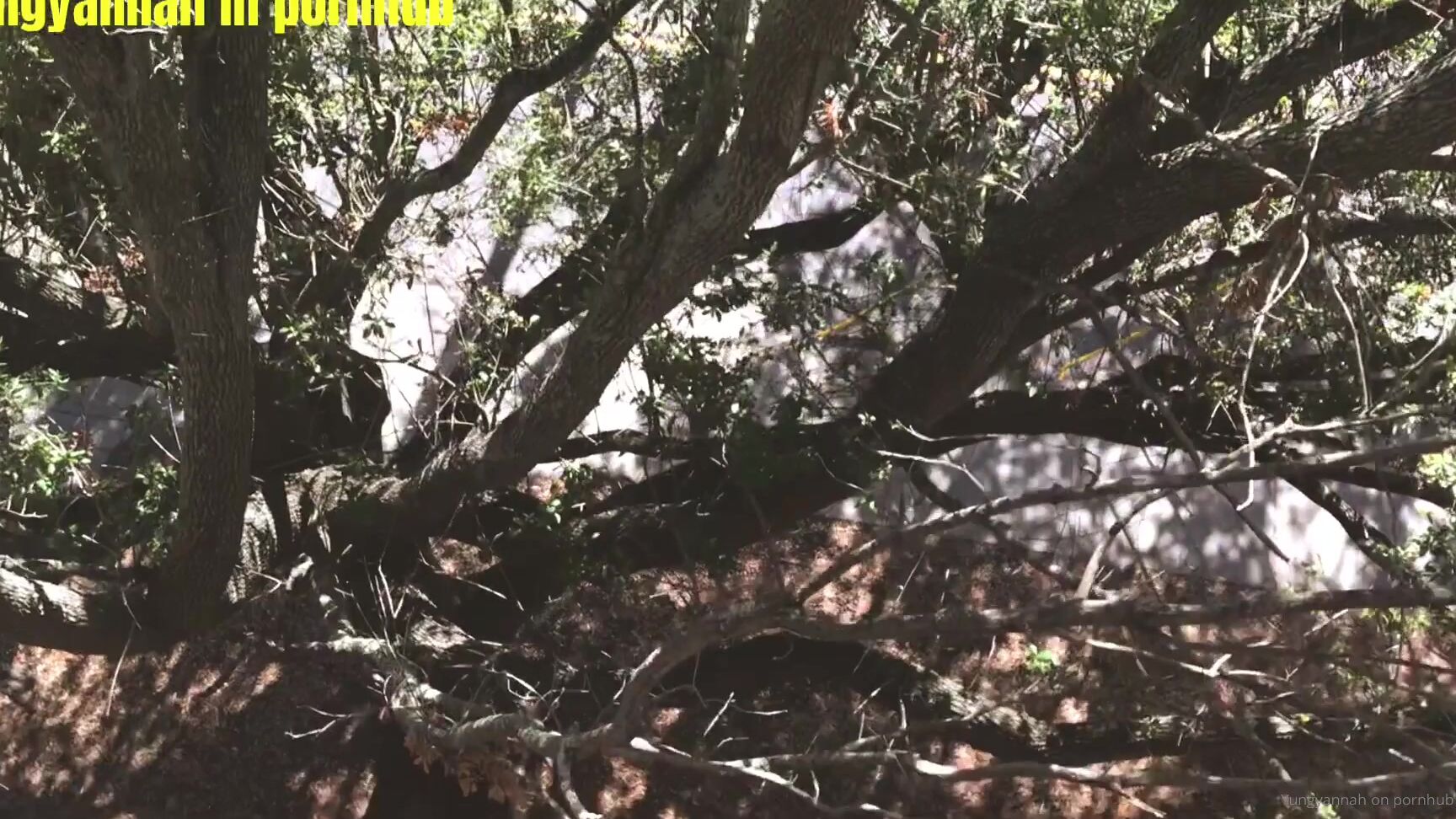 Yungyannah Omg This Took To Long To Download And Edit Hope You Guys Enjoy Like And Comment Publ