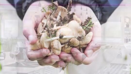 Huxley Travel Trends To Watch In