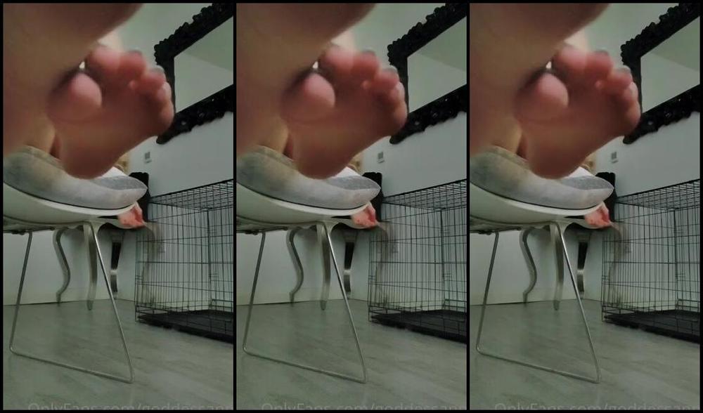 Goddess Anna Nicknamed Goddessanna Onlyfans Full Clip Lick My Feet Kiss My Soles Goon For My Legs Worship G