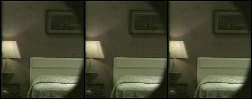 "Tracey Adams, Bambi Allen, Tish Ambrose, Breezy Lane, Micala Davidson, Jeannie Pepper, Julie, Johnny Nineteen, Francois Papillon, Jeff Scott, Jason Brooks, Steve Drake, Bill Margold, J. D., Wayne Stevens, Damon Christian, Jerry Butler, Richard Aldri