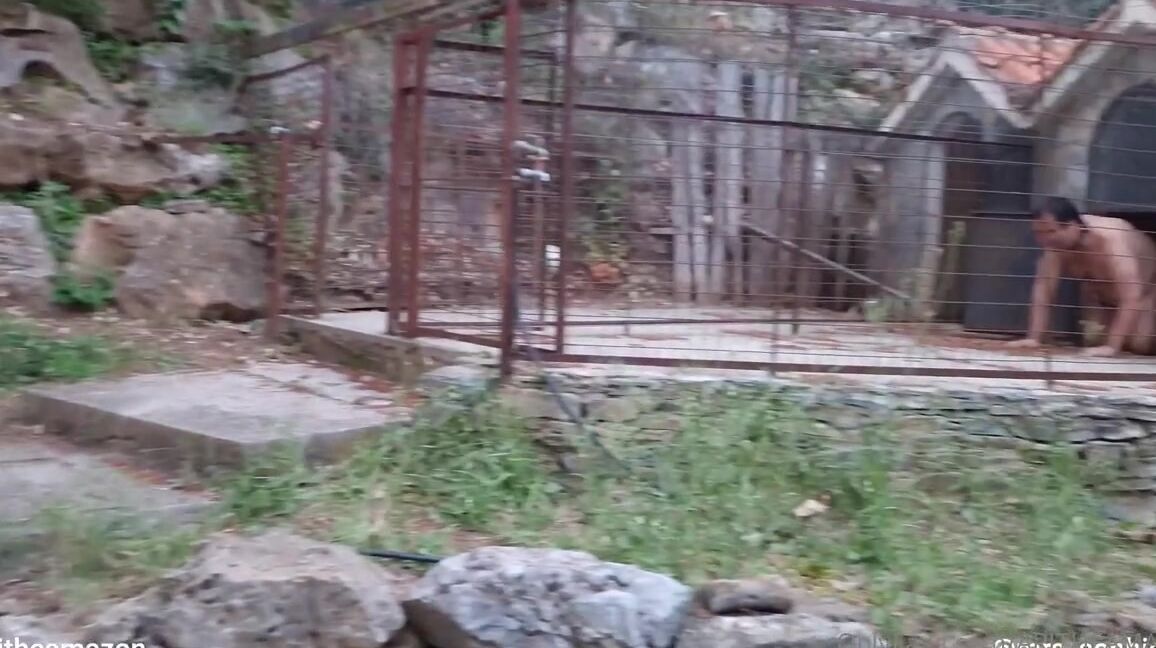 Ebonykinkyqueen Nicknamed Ebonykinkyqueen Onlyfans Tip For Full Clip 2 1 Giwrgosanastas2