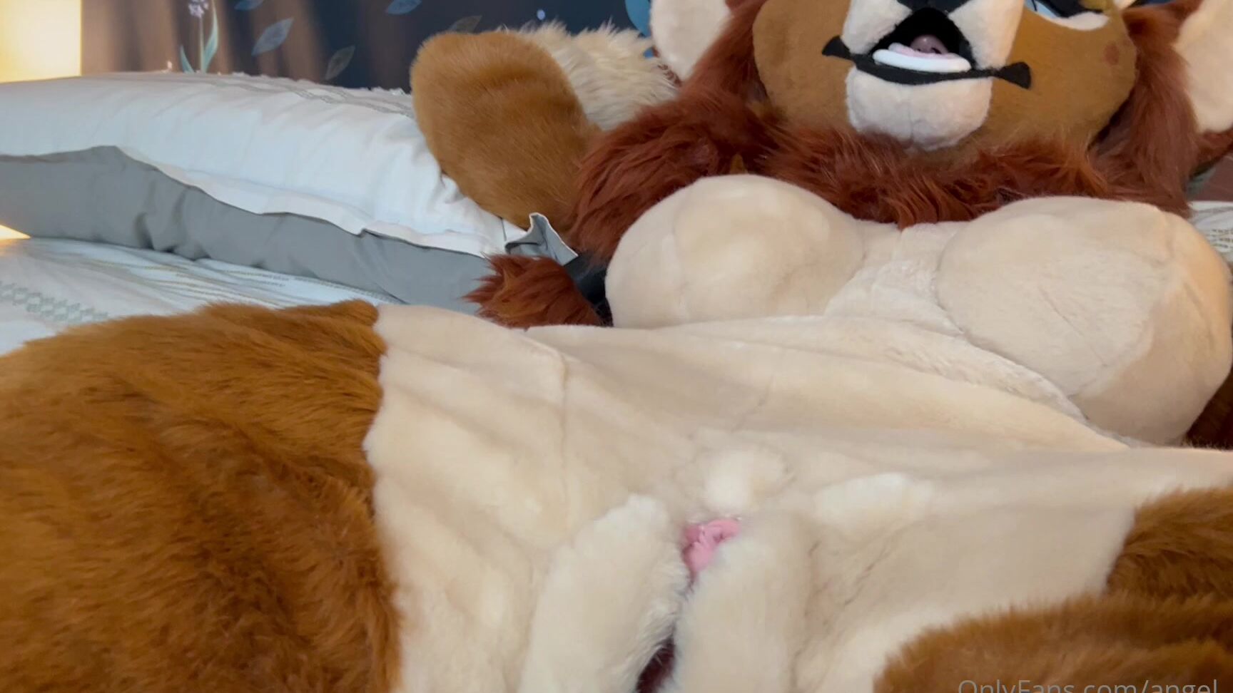 Angel Pups 331542419 Jessie Loves Playing With Her Toys 01 F45Dc5Ff 6480 49Bb 9E03 573De272C126