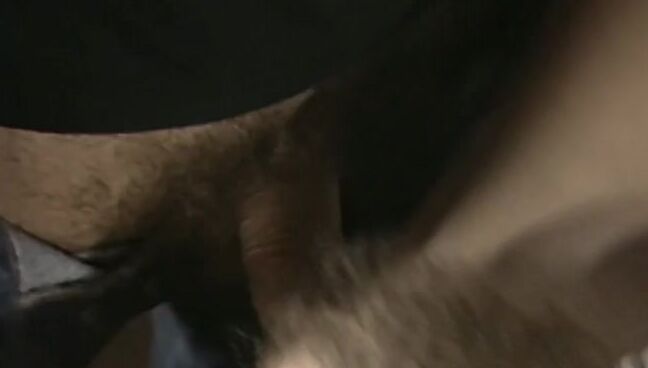 "Carmen Fernandez, Laura Lancelot, Melissa Braco, Sabina K., Andre Kay, Christophe Clark, Sascha Atzenbeck, Hans Peter Kremser, Gunther Amann, Siggi Buchner" Feature, Classic, Straight Une Femme nommee Desir Marc Dorcel