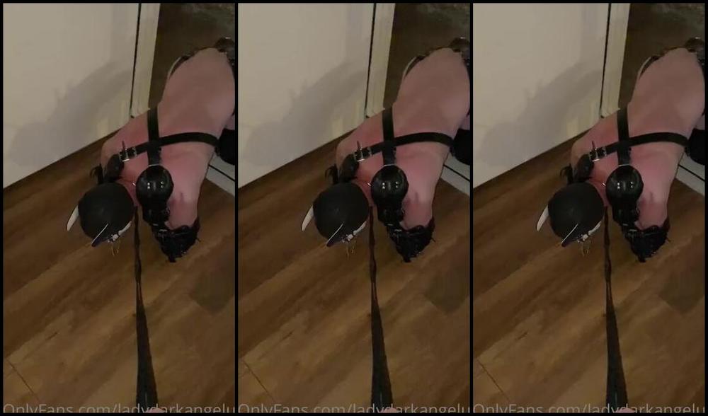 Ladydarkangeluk Onlyfans Come On Pup Tramplingforfun