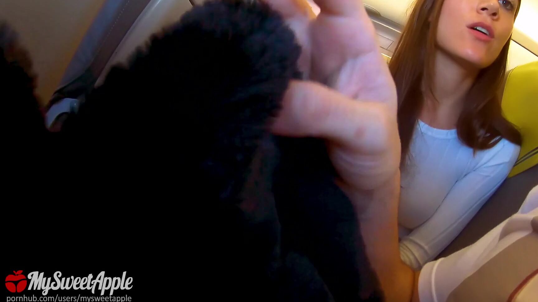 MySweetApple Risky Blowjob in a Plane to Berlin - Mile High Club - Amateur MySweetApple PornHub