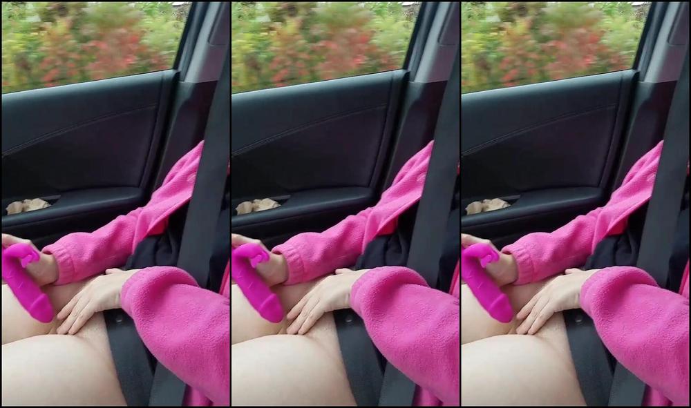 Molly Madison Public Dildo Sucking In Car