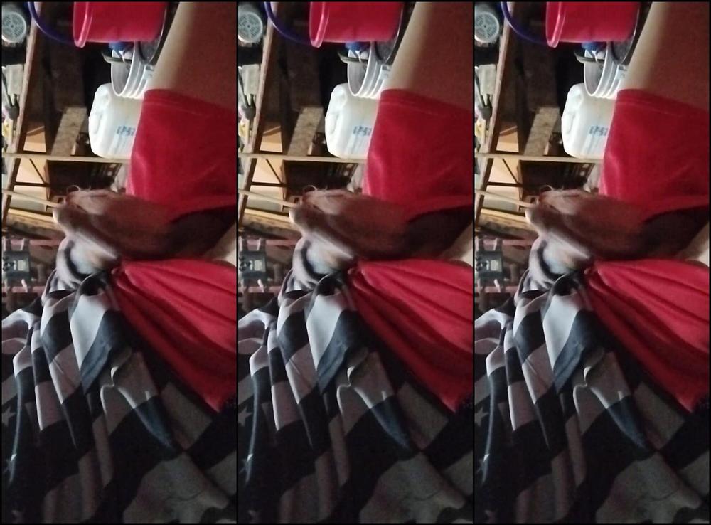 "AlexAlejandro13" Small Dick, Small Cock, Big Dick, Big Cock, Suggest AlexAlejandro13 Lecheo Toda Mi Mano Pornhub