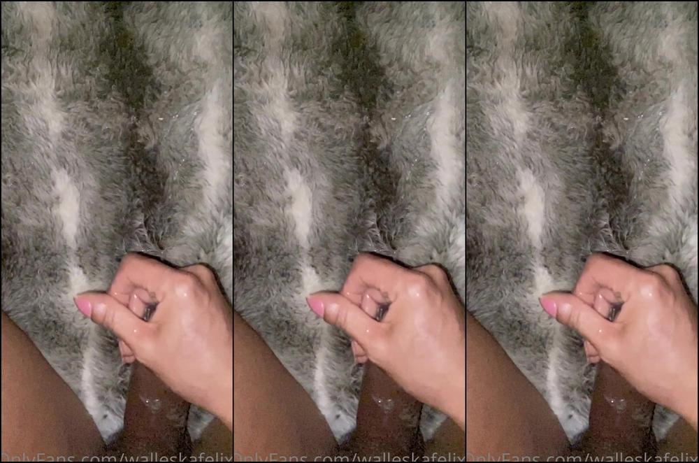 Walleskafelix Slow Motion