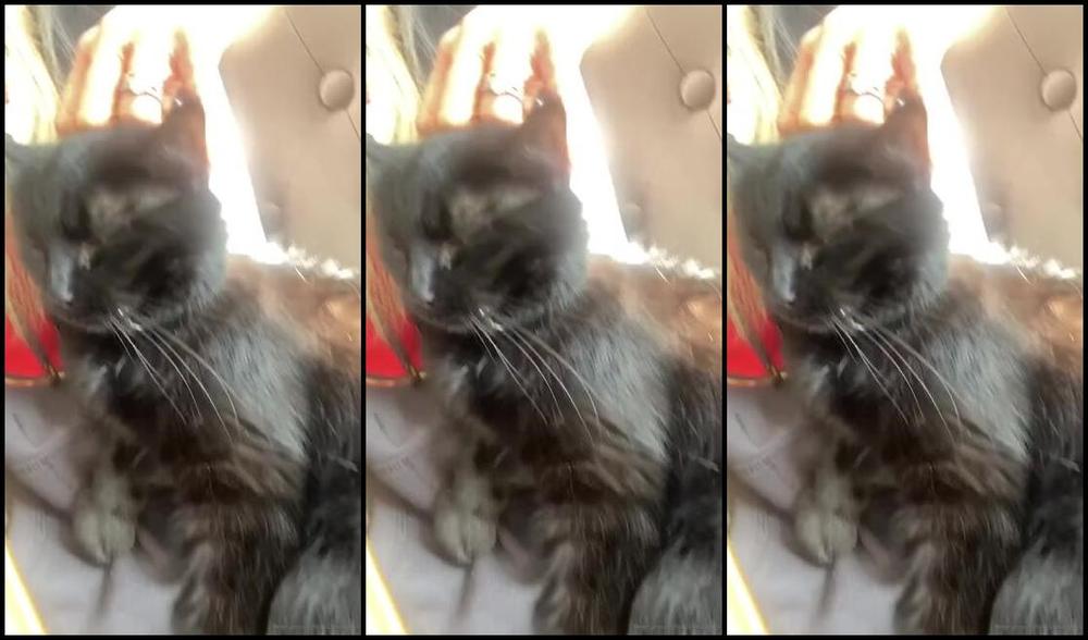 Ladydarkangeluk Onlyfans Well Someone S Pleased I M Home Excuse The No Makeup Can T Be Arsed