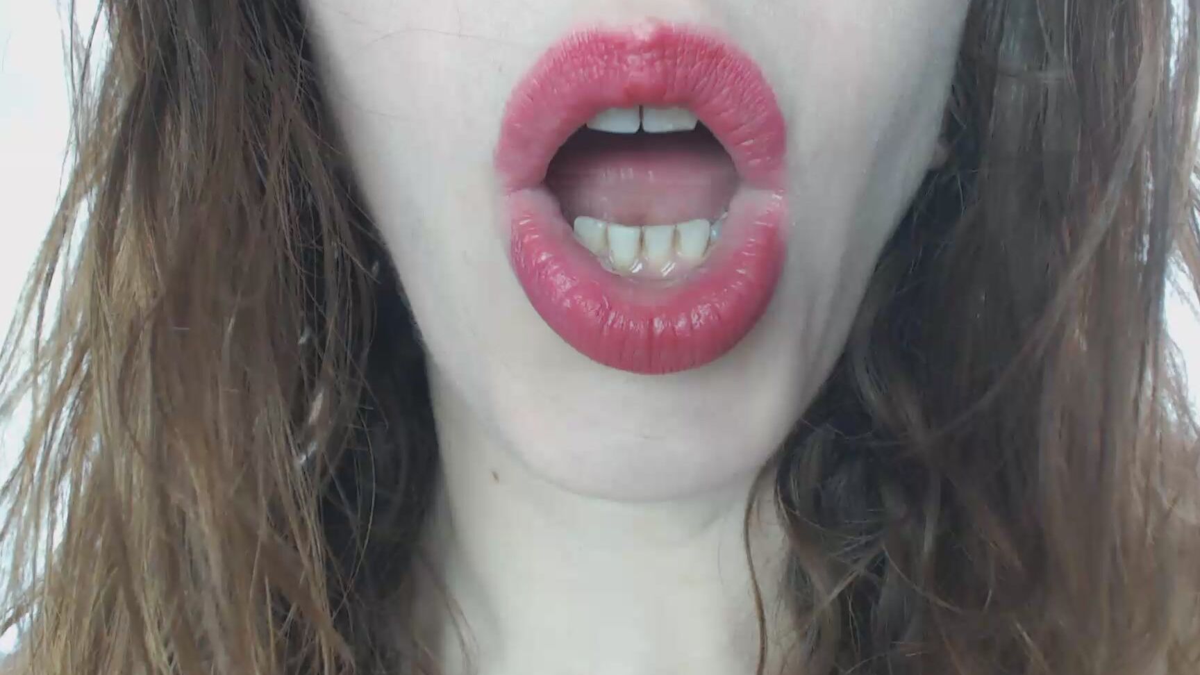 Canadiansammy Sammys Smokey Mouth Tour