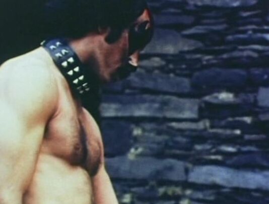 "Jody Maxwell, Terri Hall, Dean Tait, Zebedy Colt, Renee Sanz, Chad Lambert, Nancy Dare, Annie Sprinkle, Rod Dumont" Rape, Hardcore, Classic The Devil Inside Her Taurus Productions