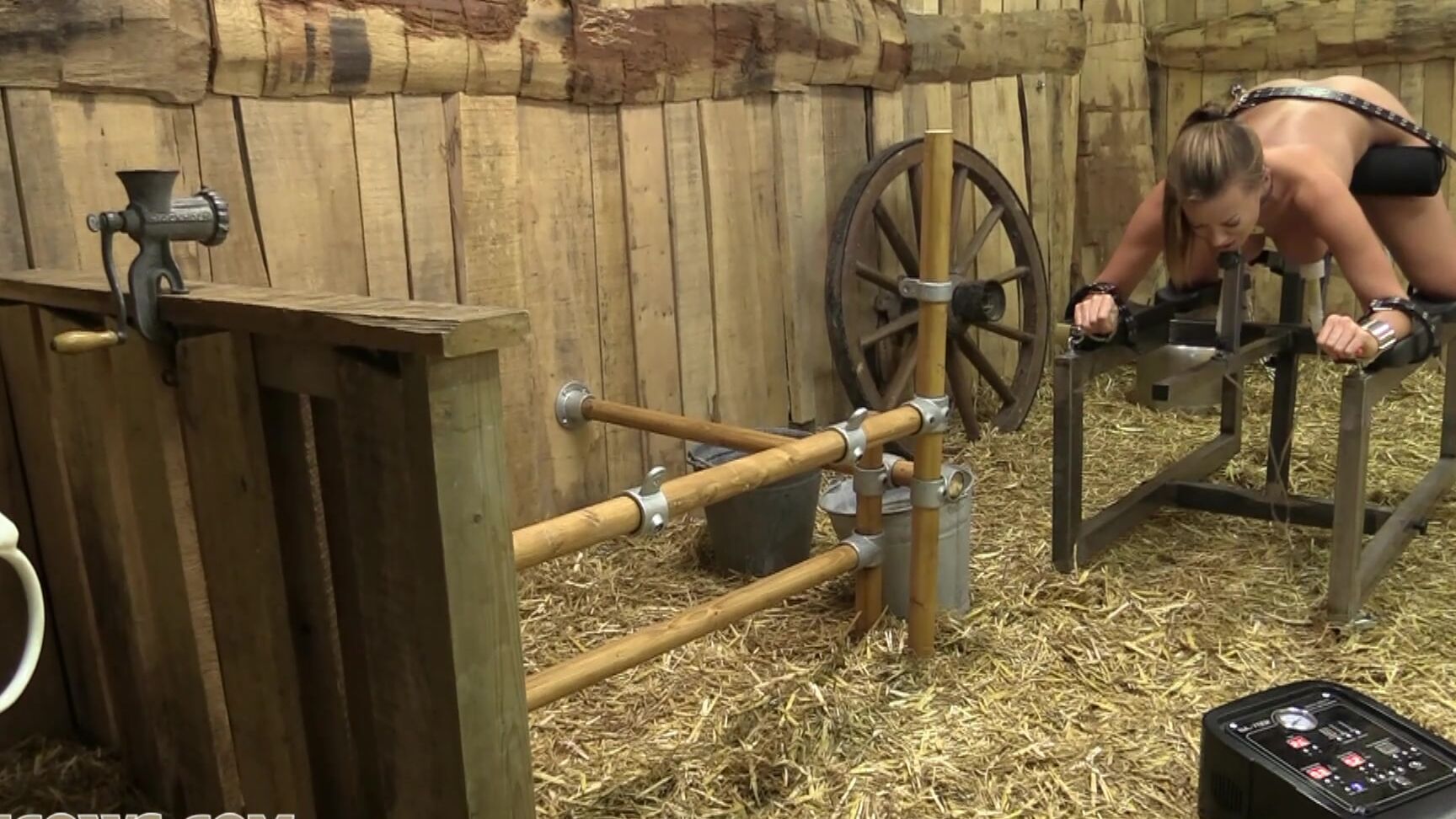 vibrator, bondage, breast training machine Cindy Dollar induced HuCows.com