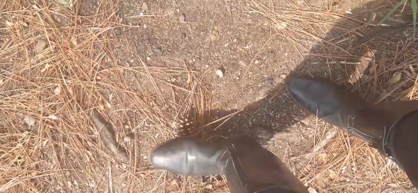 Goddess Kalinda Nicknamed Goddesskalinda Onlyfans This Is What You Are To Me Something Insignificant That I Can Trample From One Side