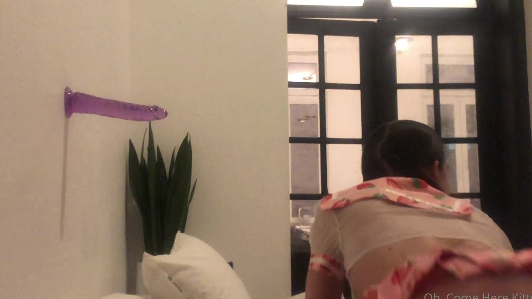 Comeherekittycat My First Porn No I M Just Kidding I Have Two Ca