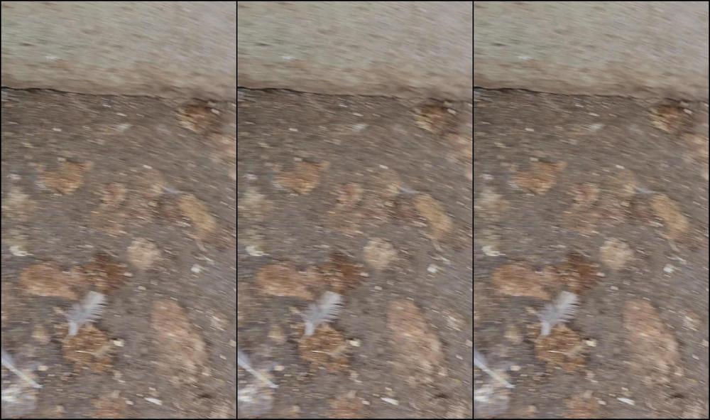 Your Submissive Doll 3323244613 05 18 2024 Is It Weird That This Is So Relaxing For Me