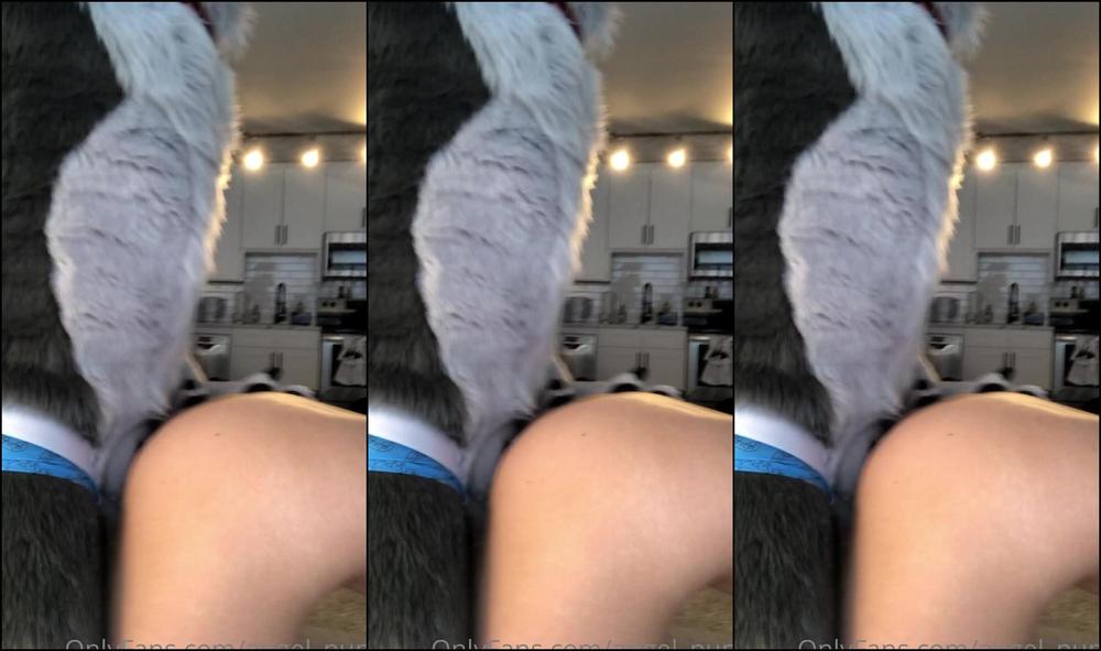 Angel Pups 132994705 Nothing Like Big Wolf Humps To Kick Off The Weekend 01 5D5Fc47B F3C0 4537 9C63 270Af47C12D9