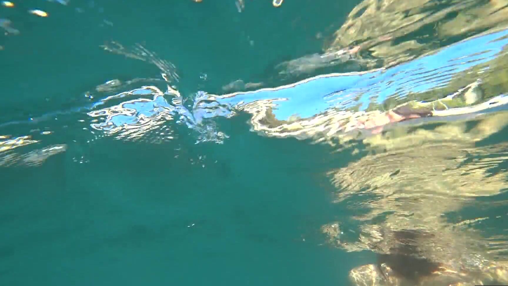 GoldTeachers Nude model swims on a public beach in Russia Pornhub