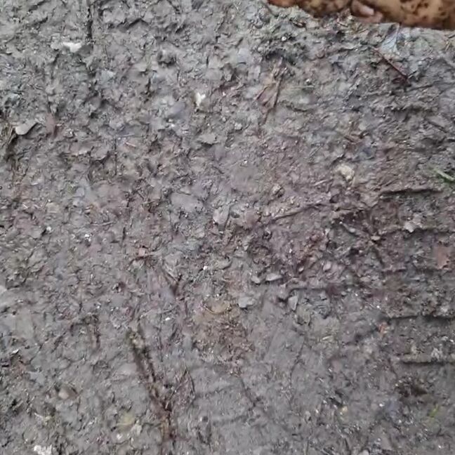 Feetbysherri Onlyfans Muddy Feet Video