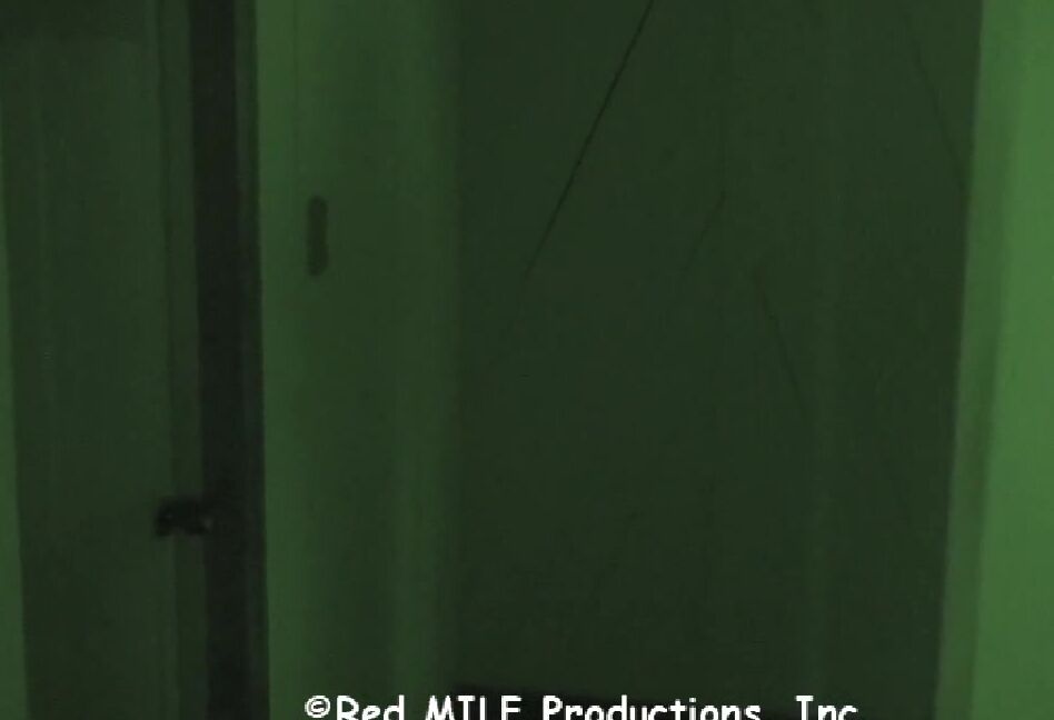 Rachel Steele Milf915Hd