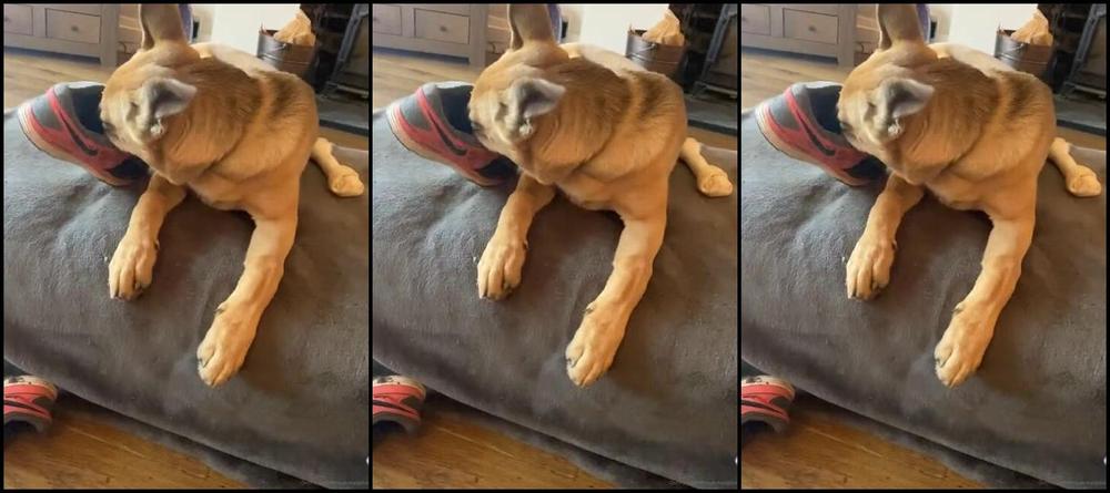 Ladydarkangeluk Onlyfans Sunday Morning X Given Up With These Trainers Now Need To Get Some New Ones She S Not Getting Anywh