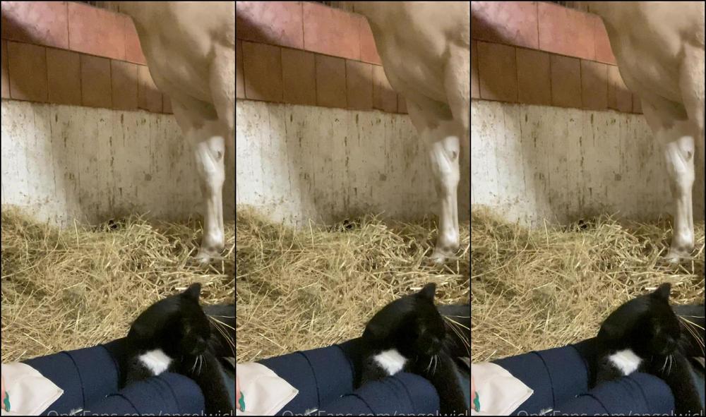 Angelwicky My End Of The Year What You Up To Muj Konec Roku Co D