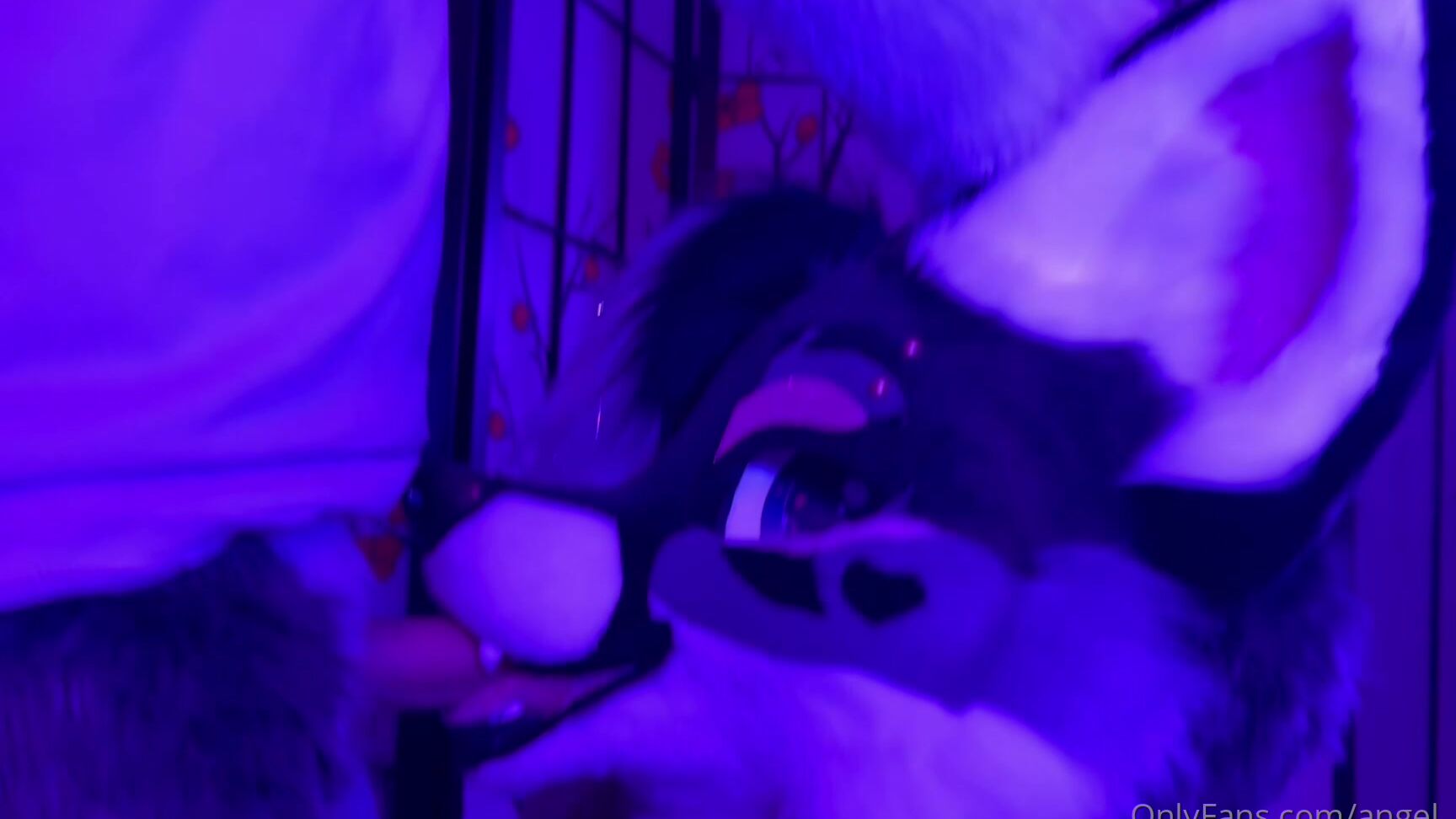 Angel Pups 1122347015 The Video We Filmed Last Night Might Be One Of Our New Favor 01 0Hqrvo7Atrlq7Xnzhc1Ch Source