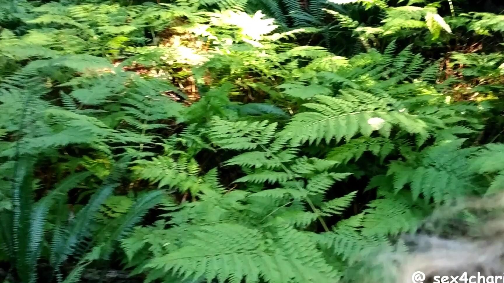 sex4charity My wife sucks me in a rainforest on Vancouver Island Pornhub