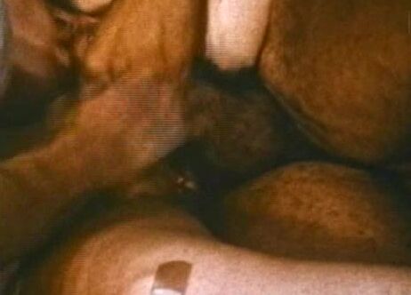 "Tawny Pearl, Crystal Dawn, John Holmes" Legal Teen, Anal, Classic Teenage Anal Eruptions Alpha Blue Archives